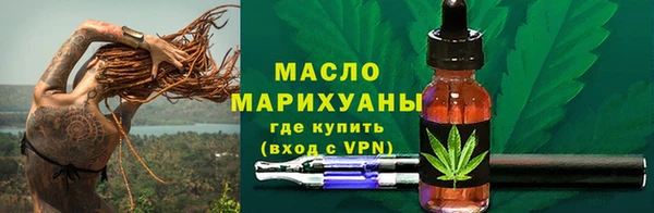 МДПВ Ельня